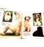 Livro Enciclopédia Ilustrada Cães Um Guia com o Perfil de 114 Raças