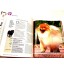 Livro Enciclopédia Ilustrada Cães Um Guia com o Perfil de 114 Raças