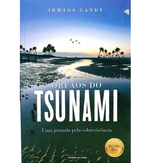 Livro Órfãos do Tsunami Uma Jornada pela Sobrevivência