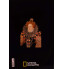 Revista National Geographic: Grandes Mulheres – Isabel I de Inglaterra: A Rainha Virgem