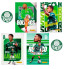Kit Cards Oficiais Tribute Card Set Palmeiras - 50 Cards