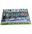 Revista Pôster Palmeiras - Verdão Campeão Paulista 2026