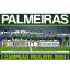 Revista Pôster Palmeiras - Verdão Tricampeão Paulista 2024