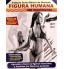 Revista Guia Curso Básico de Desenho - Anatomia Feminina