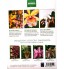 Livro Coleção Esmeralda: Orquídeas do Outono - Volume 1