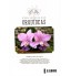 Livro Enciclopédia das Orquídeas Volume 6