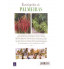 Livro Enciclopédia de Palmeiras - Volume 4