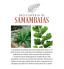 Livro Enciclopédia de Samambaias - Volume 1