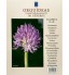 Livro Coleção Orquídeas: O Guia Indispensável de 101 Gêneros de A a Z - Volume 5