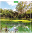Livro Os Mais Belos Jardins do Mundo - Instituto Inhotim