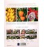 Revista Coleção Seu Jardim Volume 3: Frutíferas